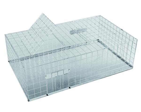 PROTRAP Taubenfalle faltbar